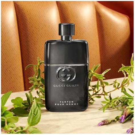 gucci guilt pour homme|gucci guilty pour homme reviews.